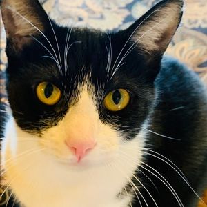 Meet your Posher, Nancy